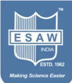 ESAW INDIA logo